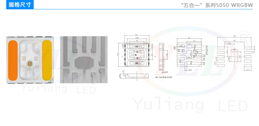 五合一5050WRGBW燈珠規格尺寸