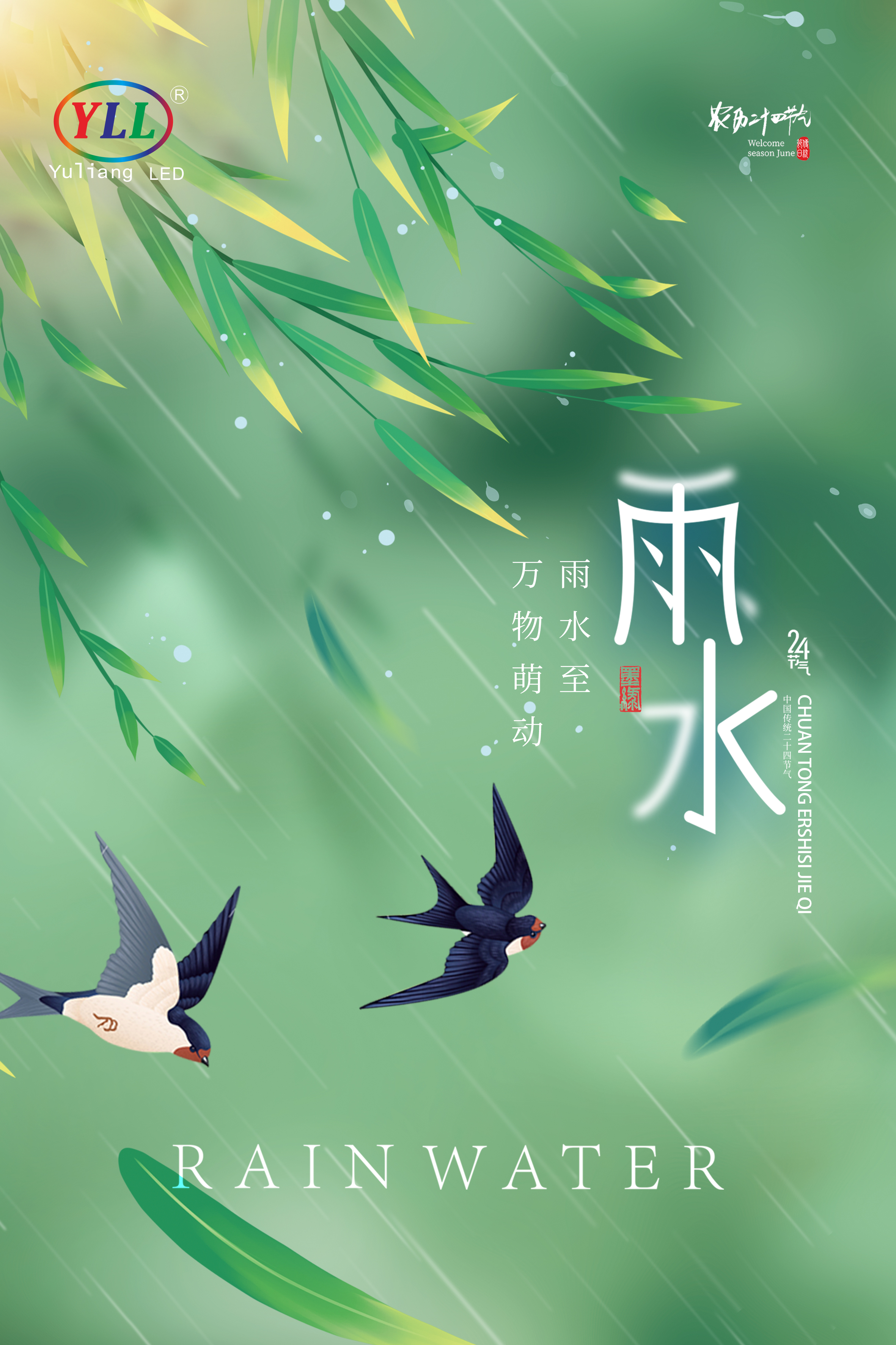 雨水-1.jpg