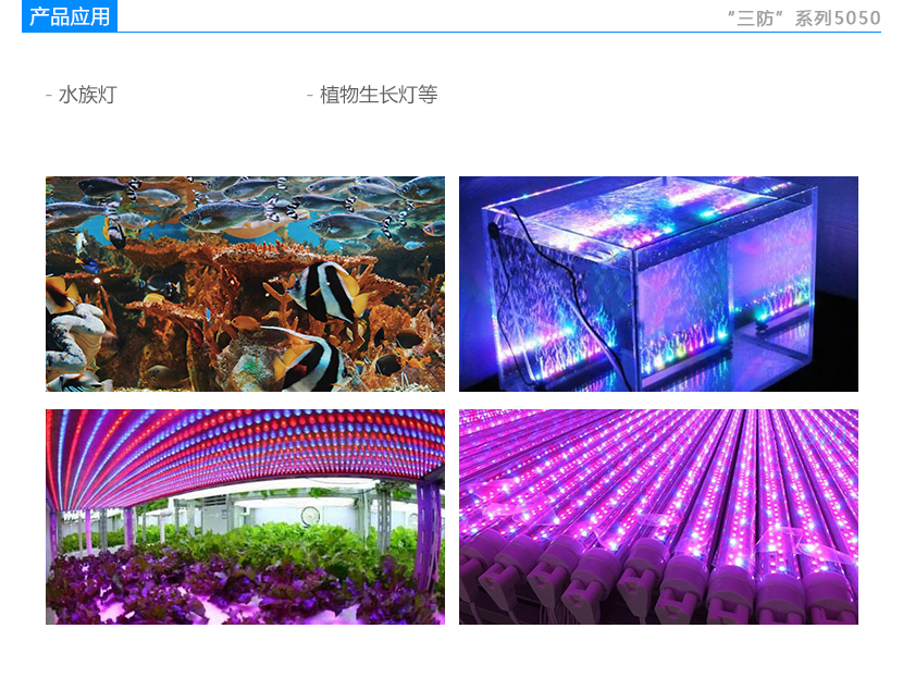 5050RRGB燈珠應用領域:植物生長燈,水族燈