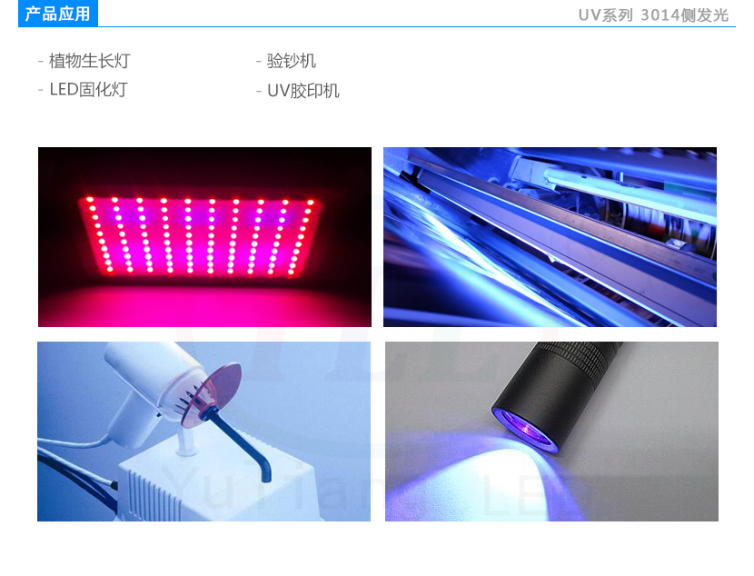 uv3014側發光紫光燈珠應用領域:植物生長燈,驗鈔機,LED固化燈,UV膠印機