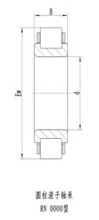 圓柱滾子軸承（無外圈）RN0000型-2